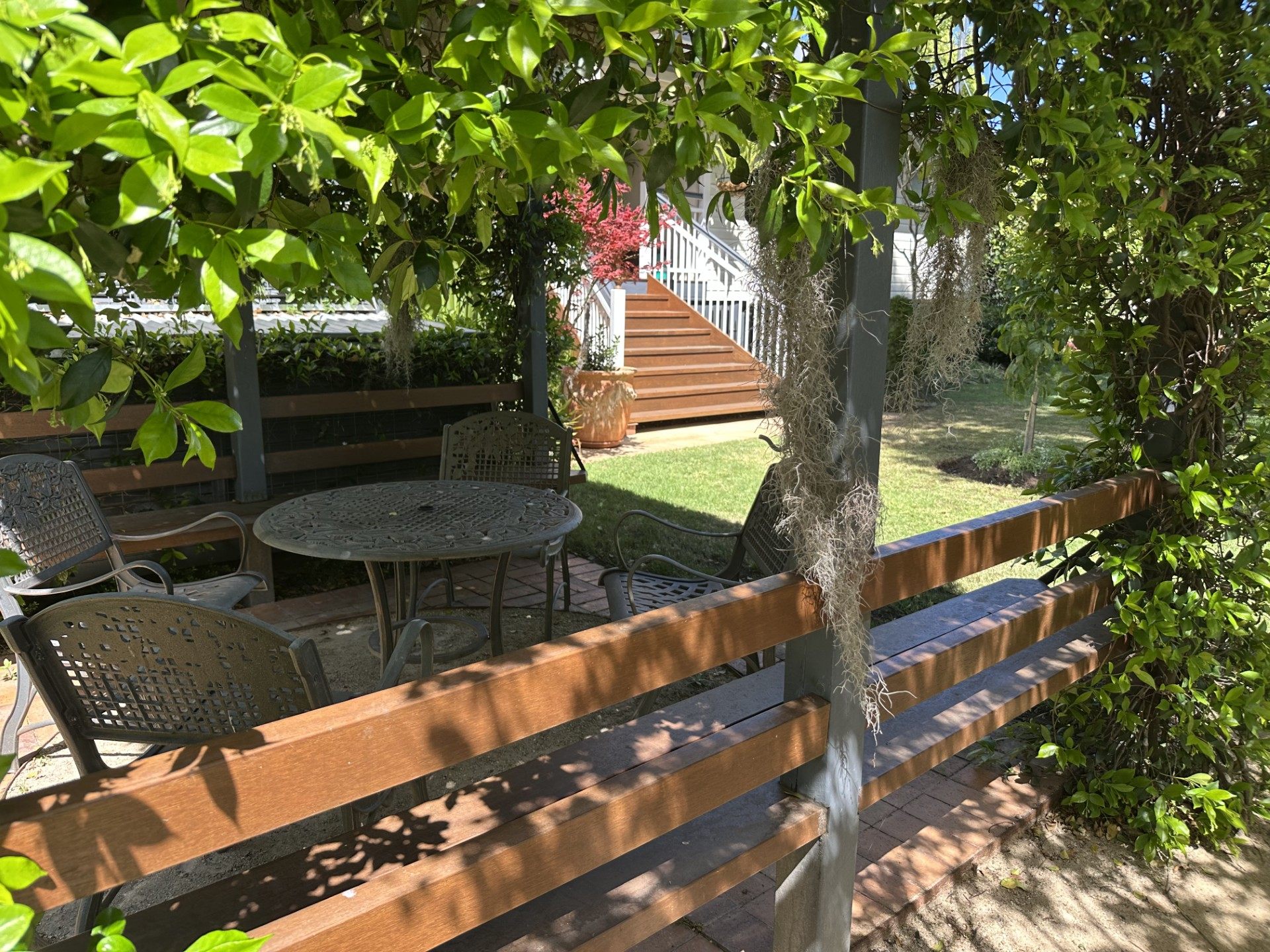 Campbell St Residence garden, 2026.