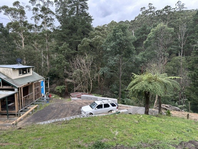 Keutmann Residence under construction — timber-clad house and art studio set into the bushland, viewed from the top of the driveway.