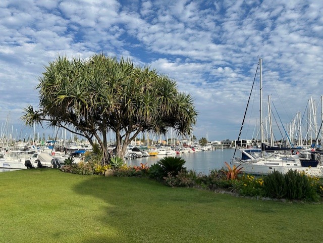 Mooloolaba Marina lawn edge with pandanus, planting and boats beyond.