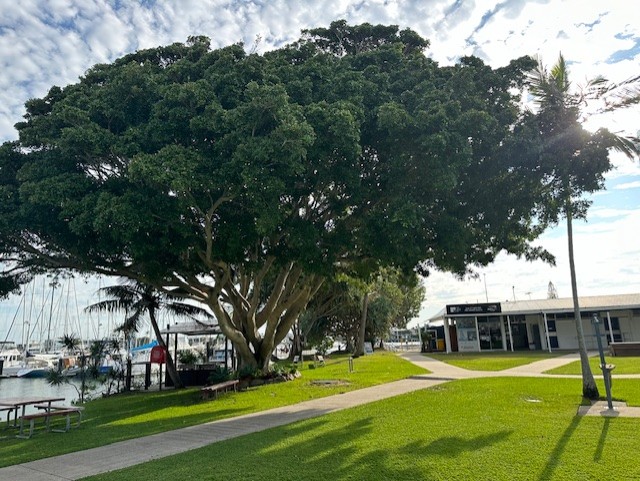 Coastal landscape architecture concept image, LARK Design.